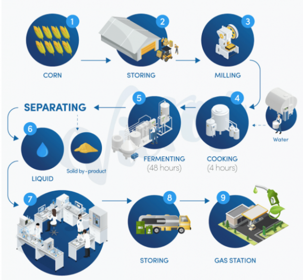 the-diagram-below-shows-how-ethanol-fuel-is-produced-from-corn-toefl